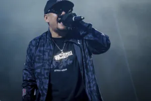 Artista en concierto con micrófono