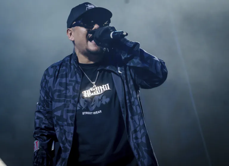 Artista en concierto con micrófono